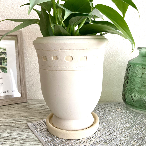 フィロデンドロン・シルバーメタル　観葉植物　お洒落なインテリアグリーン 6枚目の画像