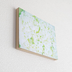 和紙と木のインテリアフォトパネル / 白いアナベル 3枚目の画像