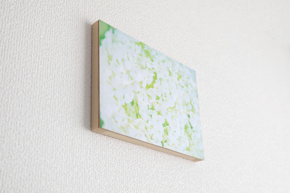 和紙と木のインテリアフォトパネル / 白いアナベル 3枚目の画像