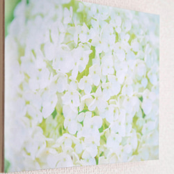 和紙と木のインテリアフォトパネル / 白いアナベル 4枚目の画像