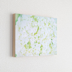 和紙と木のインテリアフォトパネル / 白いアナベル 2枚目の画像