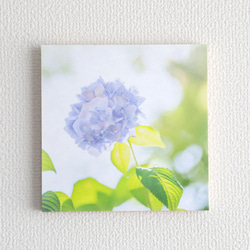 和紙と木のインテリアフォトパネル / 紫陽花の咲く頃に 1枚目の画像