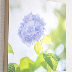 和紙と木のインテリアフォトパネル / 紫陽花の咲く頃に 4枚目の画像