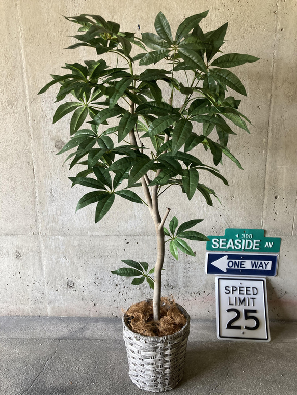 光触媒人工観葉植物ウォールグリーンフェイクグリーンクネクネ
