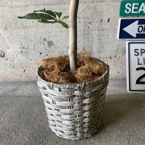 光触媒 人工観葉植物 ウォールグリーン フェイク フラワー
