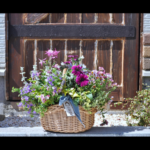 母の日 ブリコラージュフラワー（M） ☆人気寄せ植え☆ 生花
