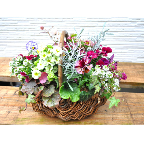 母の日 ブリコラージュフラワー（M） ☆人気寄せ植え☆ 生花