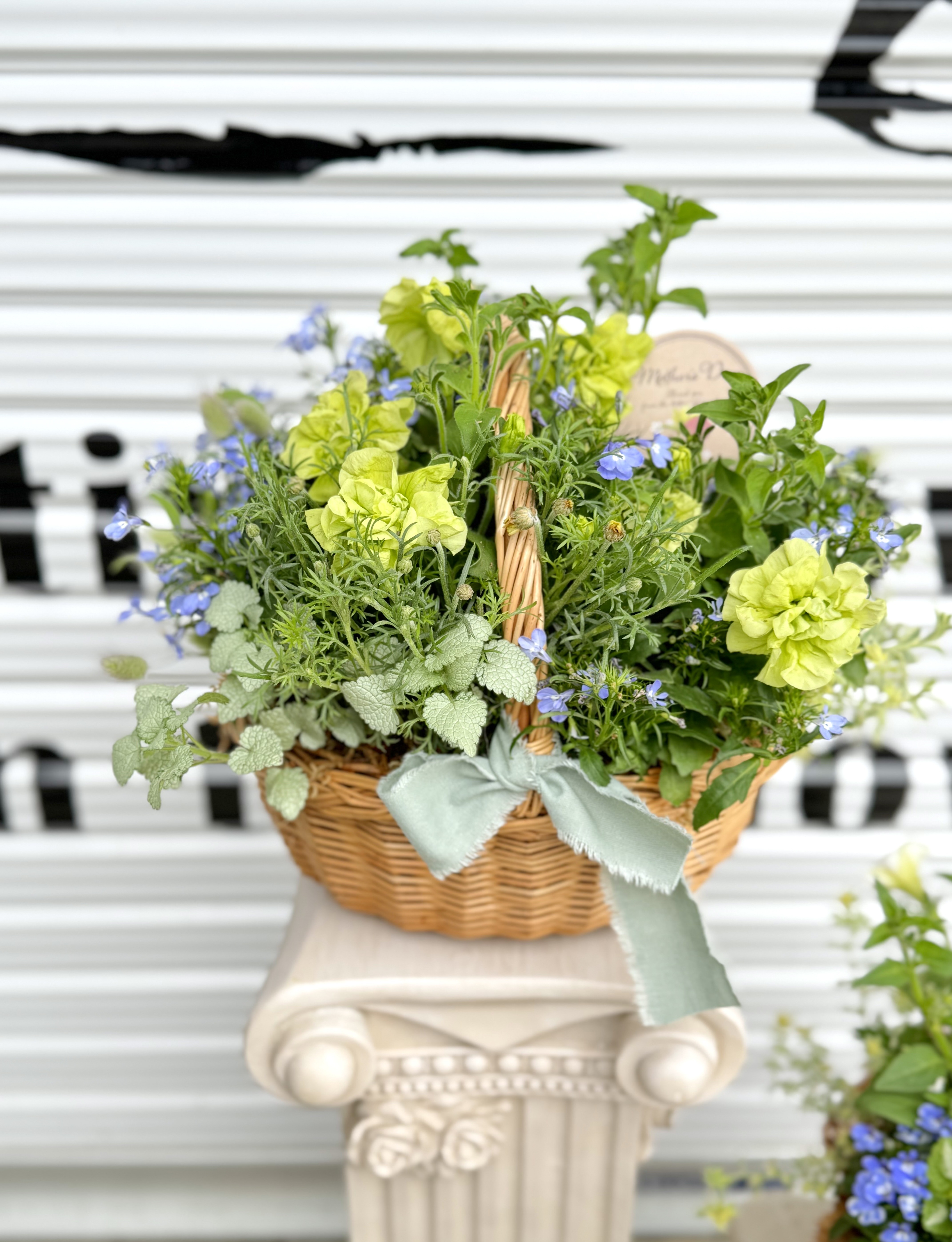 母の日　ブリコラージュフラワー（M）　★人気寄せ植え★　生花