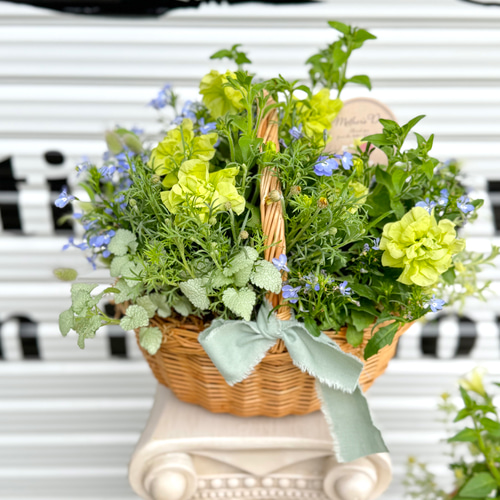母の日 ブリコラージュフラワー（M） ☆人気寄せ植え☆ 生花