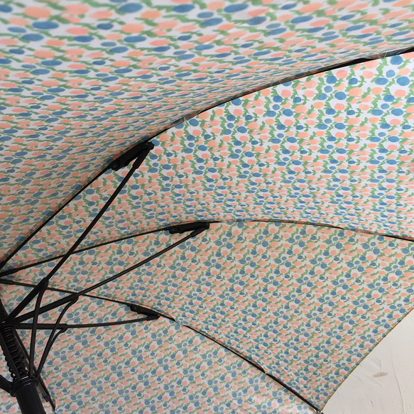 竹傘套植物長傘晴天雨天都可以使用 ALCEDO 161031 遮陽傘雨傘 第15張的照片