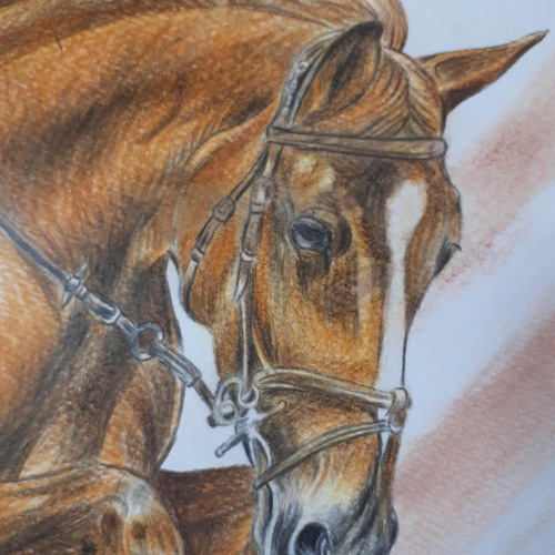 色鉛筆画 ジャンプ障害馬 絵画 makochin 通販 13745782｜Creema(クリーマ)