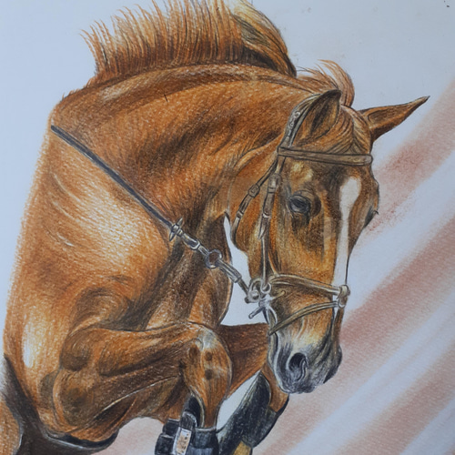 友人が書いた馬の頭部の色鉛筆イラスト 色鉛筆画 ジャンプ障害馬 絵画 makochin 通販 13745782｜Creema