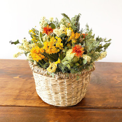 【お花畑のバスケット yellow】ドライフラワー ナチュラル ブーケ 母の日 花 アレンジメント ミモザ スターチス 6枚目の画像