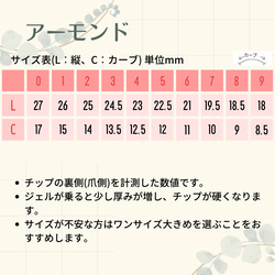 カントリー風 ❀.*･ﾟ ネイルチップ  【入学式、結婚式、母の日、贈り物、普段使いなどに】No.018 12枚目の画像