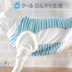 フレブル 用】【裏毛 綿100％】ネイビー裏毛ラグラントレーナー