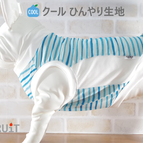 犬服ハンドメイド濡らしてひんやり♪カラフルドットのワンピース