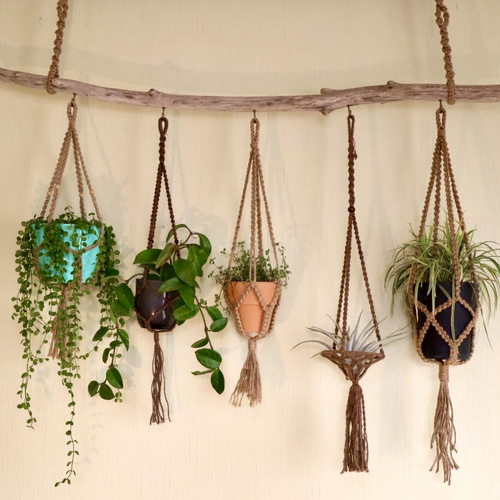 流木 プラントハンガー