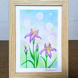 受注制作：花のパステル画 パステルアート 菖蒲の花 パステル画原画 絵画 T's Arts 通販 13747355