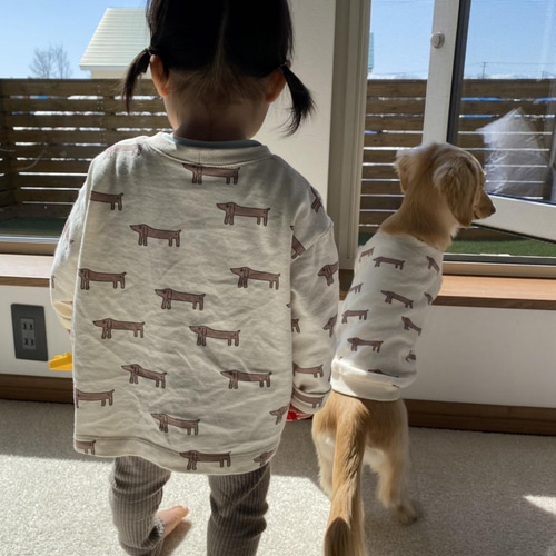 斜めストライプの犬の服