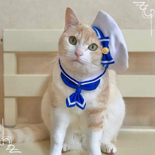 サマーシリーズ、被るだけマリンカラー(赤)わんちゃん猫ちゃん用 送料無料☆彡《受注製作》マリンセーラー♡セーラー服風〜猫の