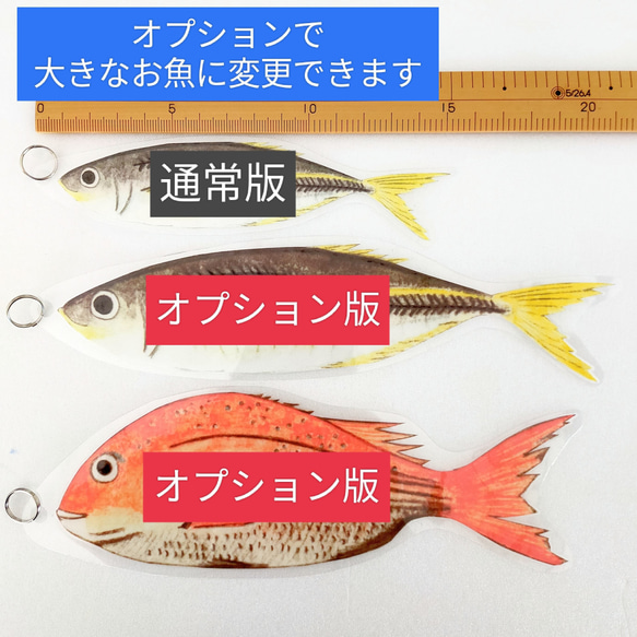 【食育】22匹の魚釣りおもちゃ　モンテッソーリ　知育玩具 12枚目の画像