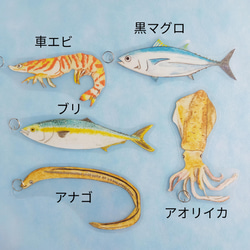 【食育】22匹の魚釣りおもちゃ　モンテッソーリ　知育玩具 3枚目の画像