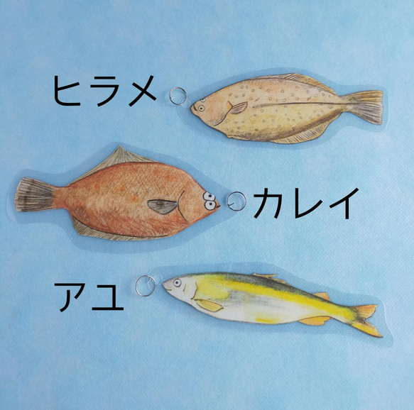 【食育】22匹の魚釣りおもちゃ　モンテッソーリ　知育玩具 7枚目の画像