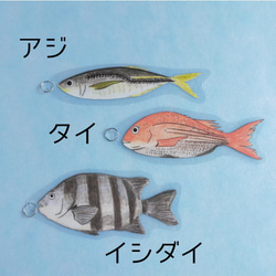 【食育】22匹の魚釣りおもちゃ　モンテッソーリ　知育玩具 4枚目の画像