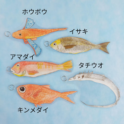 【食育】22匹の魚釣りおもちゃ　モンテッソーリ　知育玩具 2枚目の画像