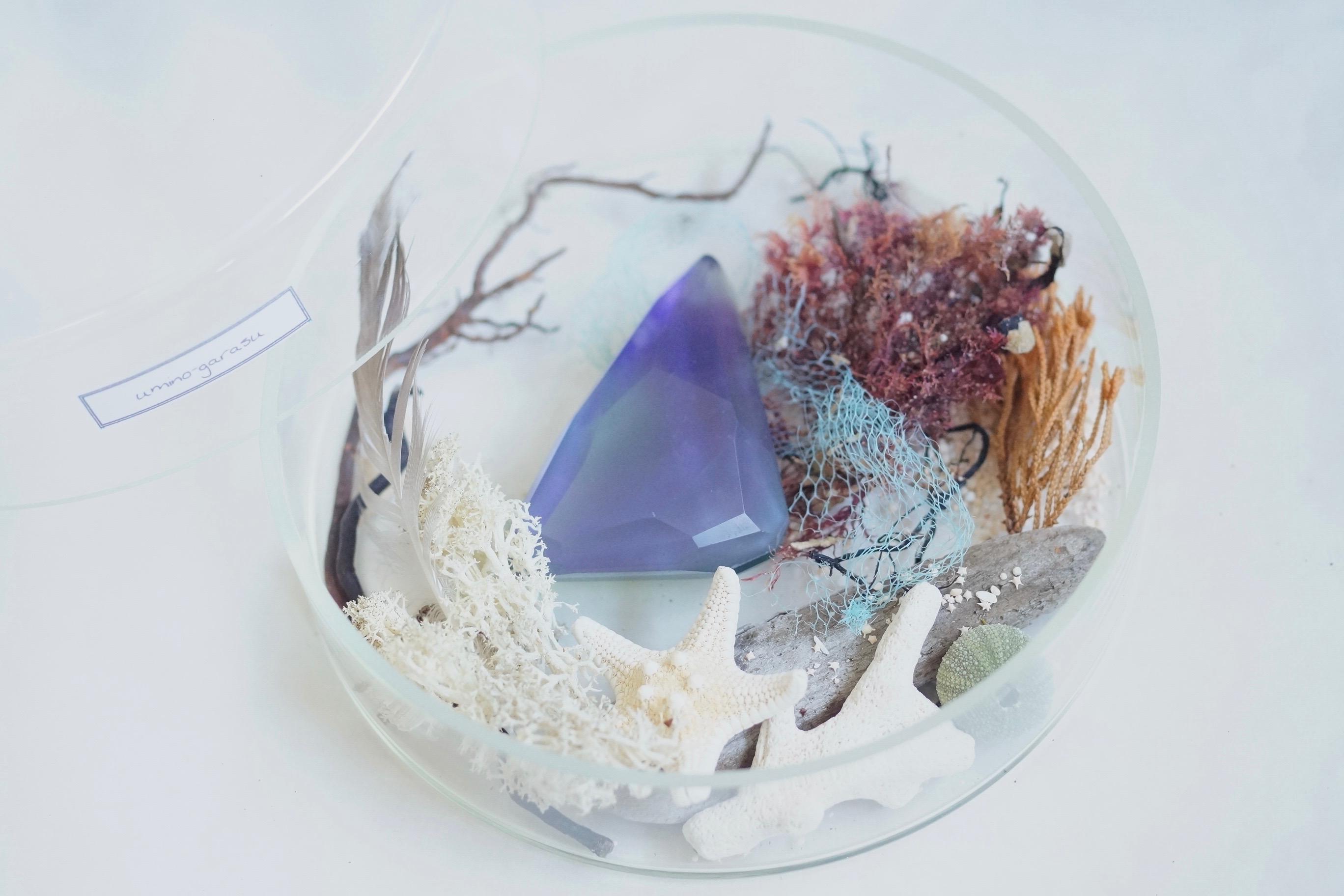 △▶▽ウミノガラスノ標本オブジェ I