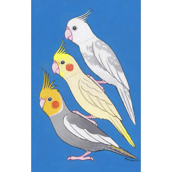 原画「リアルな小鳥ブレーメン　オカメインコ　F」アート絵画 2枚目の画像