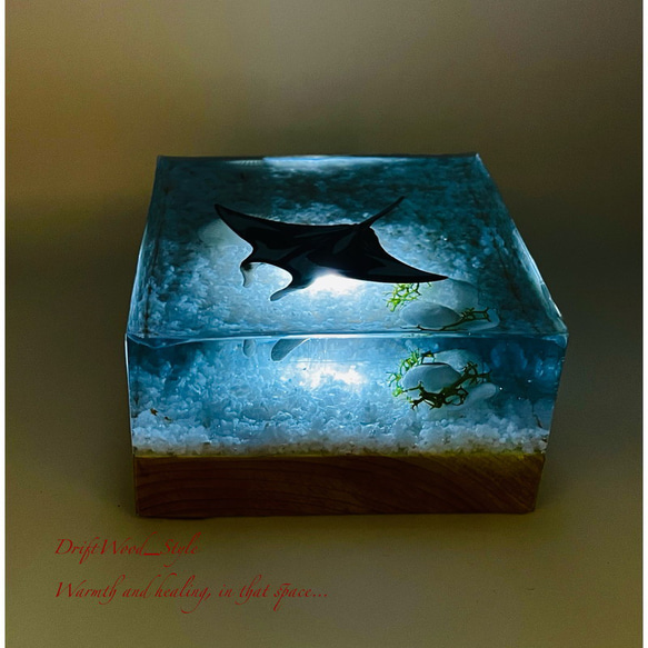 海の世界を閉じ込めた流木アート マンタ 水中ジオラマ 流木 レジンアート オブジェ アクアリウム LEDライト付 4枚目の画像