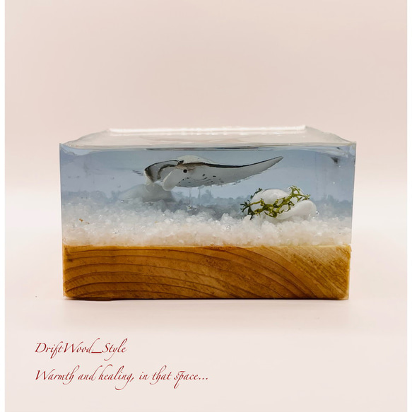 海の世界を閉じ込めた流木アート マンタ 水中ジオラマ 流木 レジンアート オブジェ アクアリウム LEDライト付 9枚目の画像
