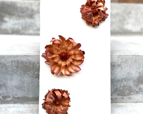 木の実の壁掛け ドライフラワー florist coco 通販 13749342｜Creema