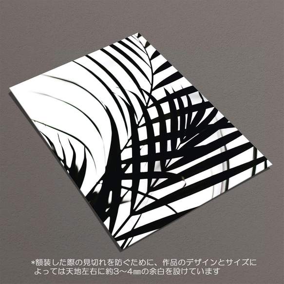 ☆インテリアフォトポスター -アレカヤシ-【194】 6枚目の画像