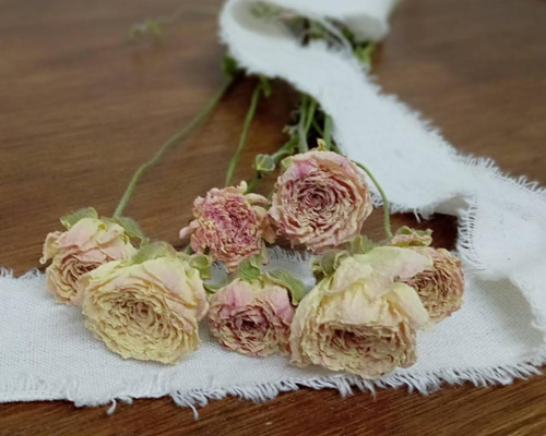 ❇️染めラナンキュラスと…❣️ドライフラワー d720b20f7d5ffced8c1abc509bbd98