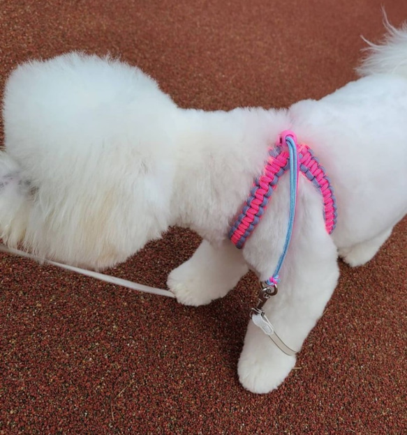 「Mさまオーダー品」ピンクのハーネス　小型犬用　お揃いのリードもあります 3枚目の画像