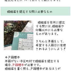 役所提出可能！デザイン婚姻届 3枚セット 美女と野獣 5枚目の画像