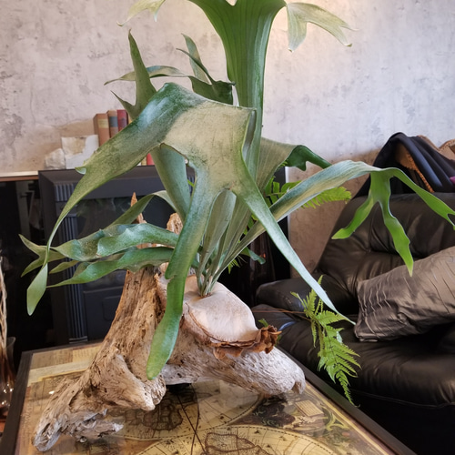 中国古玩　砡製　コウモリにブッシュカン　筆置　東さ6-0630☆2F 中国古玩砡製コウモリにブッシュカン筆置東さ6-0630☆2F