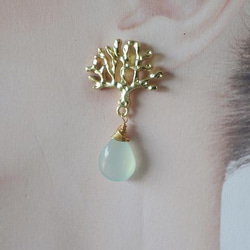 珊瑚海耳環---珊瑚和玉髓耳環☆耳釘 第4張的照片