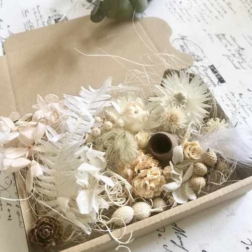 ホワイトフラワーナッツドライフラワー詰め合わせ その他素材 Rococo  