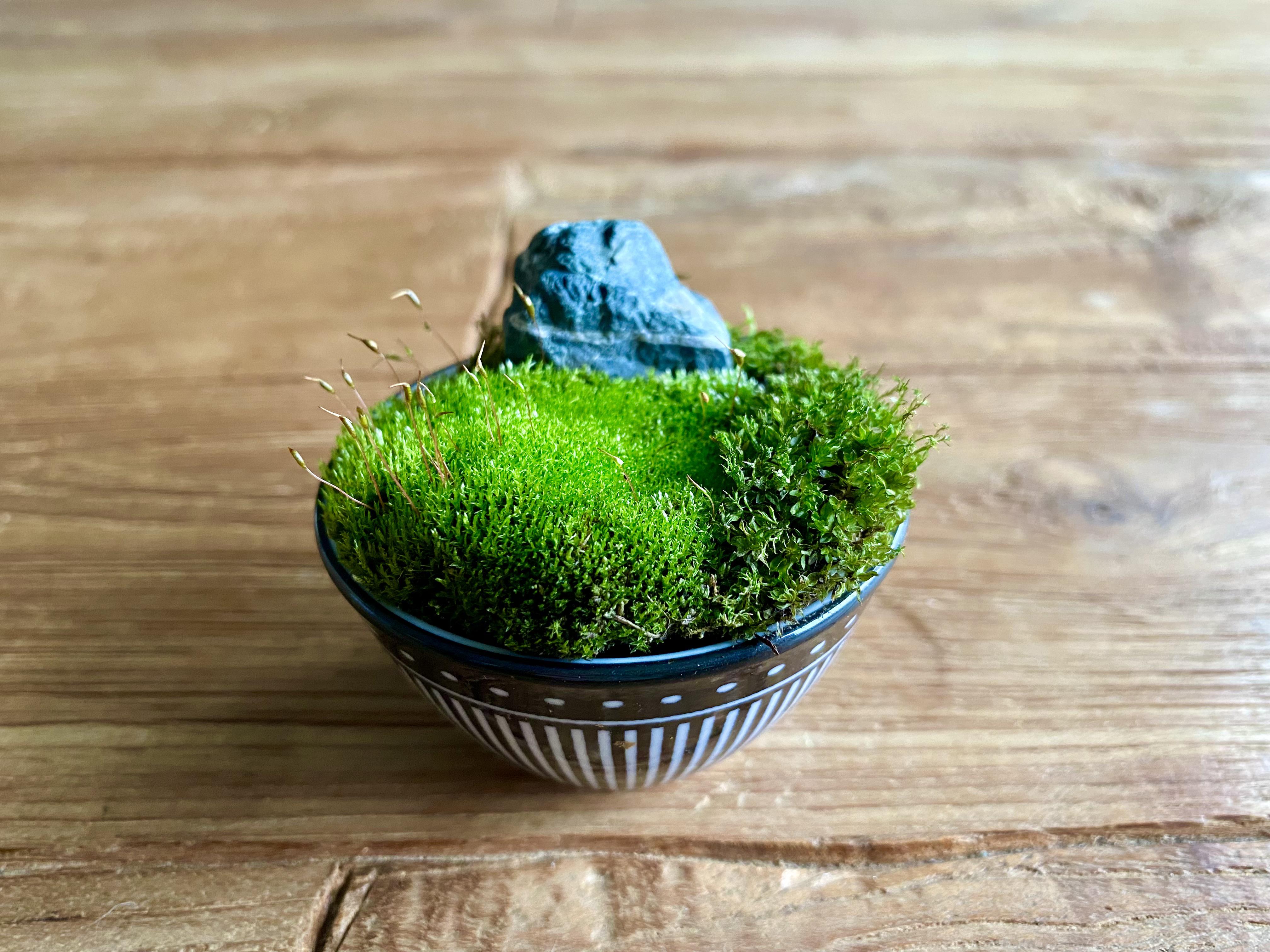 天然石 大 寄植えや枯山水に【盆栽道具】