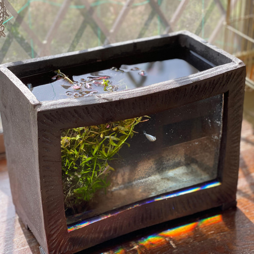 激安通販の 陶器製 アクアリウム ミニ水槽 めだか 観葉植物や花瓶にも 日本 水槽