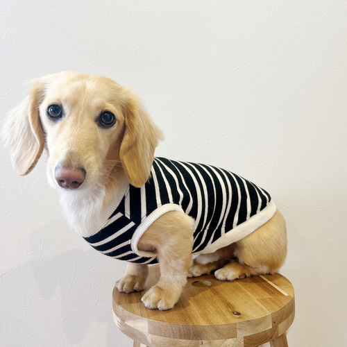 ダックスちゃん❤︎ サイズ／ 価格 ❤︎ ハンドメイド 犬服 犬の服