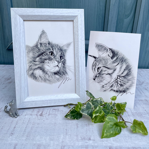 ポストカード3枚セット】鉛筆画 猫 送料無料 ポストカード tabby 通販