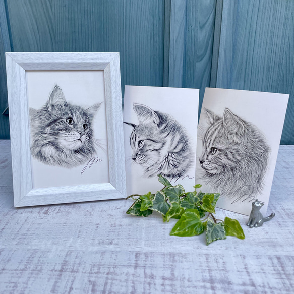 猫の鉛筆画 ポストカード
