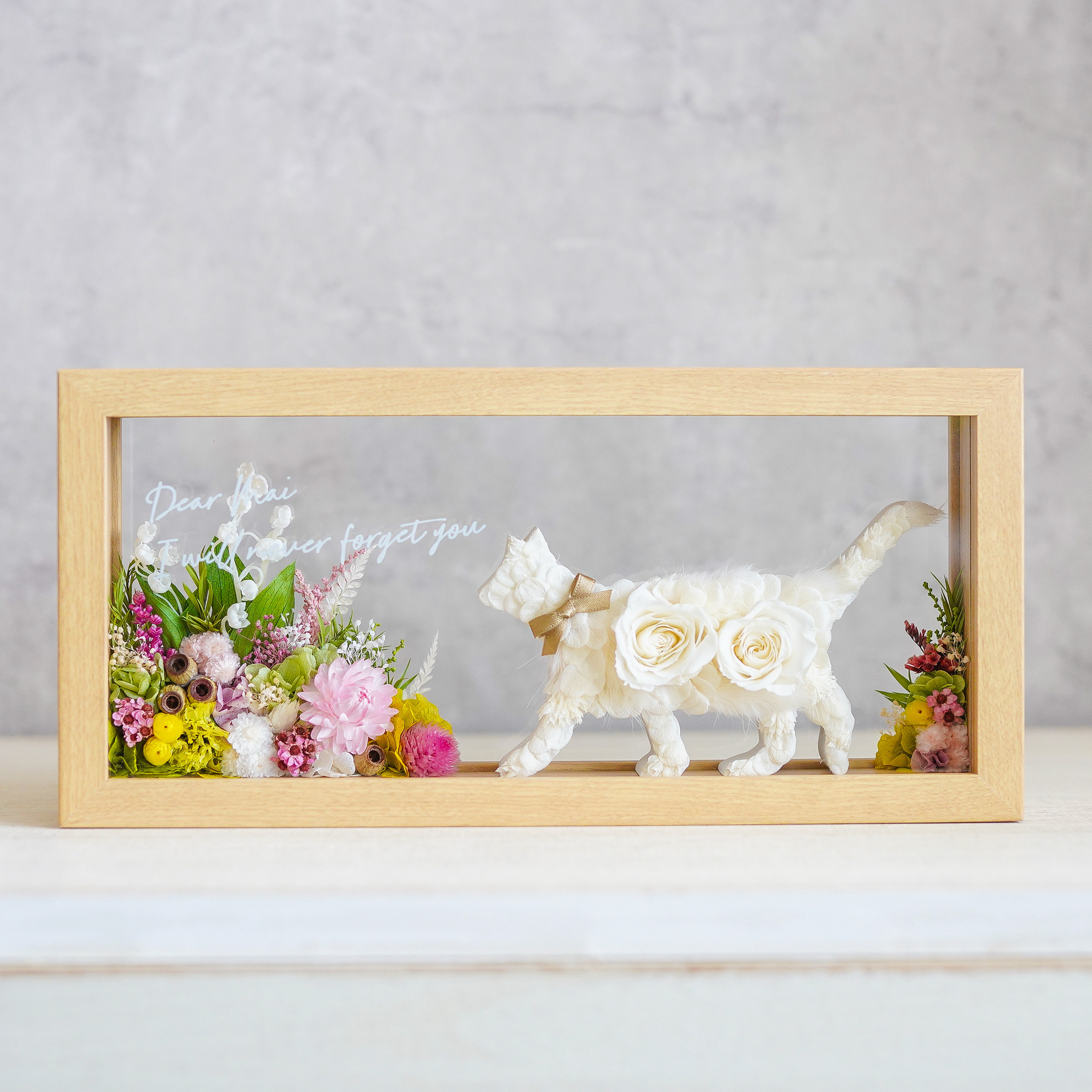 猫の散歩道 / すずらん