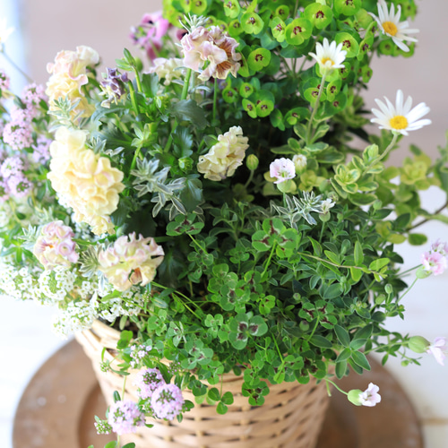 パステルカラーのギャザリング寄せ植え ドライフラワー 木の実と葉っぱ