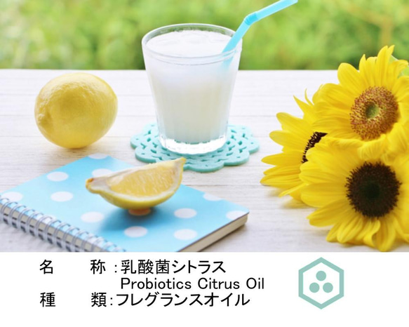 乳酸菌シトラスオイル 10ml　プロバイオティクス PROBIOTICS CITRUS フレグランスオイル　アロマギフト 2枚目の画像