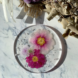 1182c22908df0983f360e5a2c48042